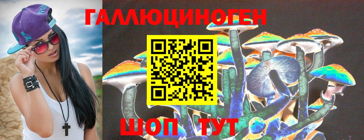 Псилоцибиновые грибы Psilocybine cubensis Рубцовск